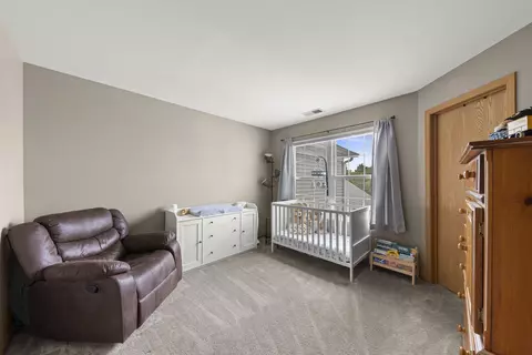 24101 Pear Tree Cir, Plainfield, IL 60585 photo 15