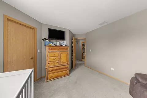 24101 Pear Tree Cir, Plainfield, IL 60585 photo 16