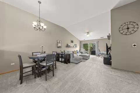 24101 Pear Tree Cir, Plainfield, IL 60585 photo 7