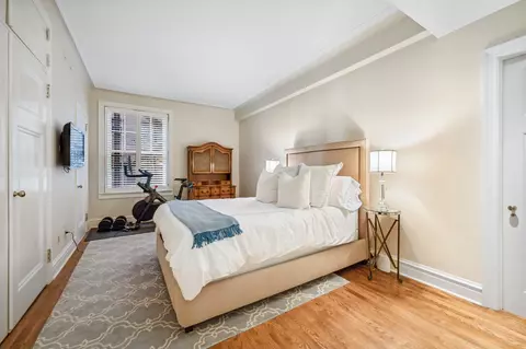 237 E Delaware Pl #7A, Chicago, IL 60611 photo 29
