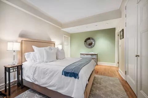 237 E Delaware Pl #7A, Chicago, IL 60611 photo 30