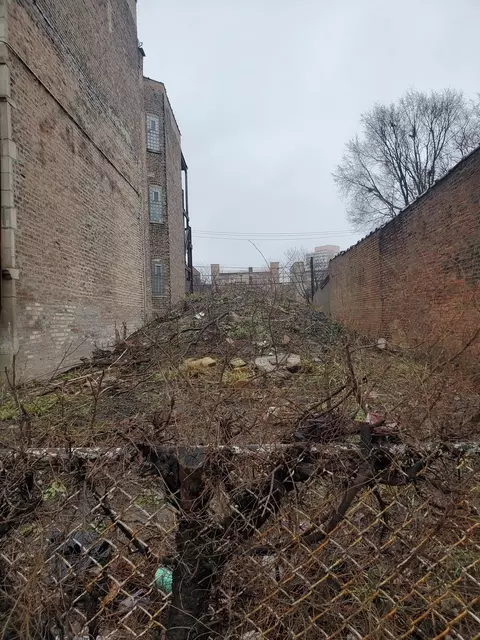4119 S Indiana Ave, Chicago, IL 60653
