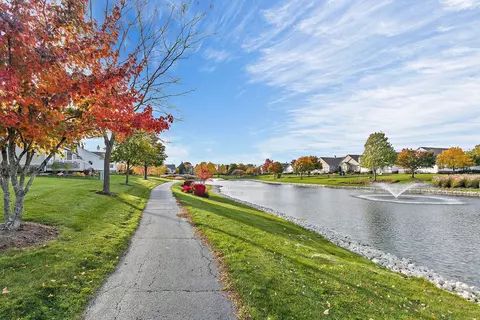 14 Twickenham Ct, Algonquin, IL 60102 photo 27