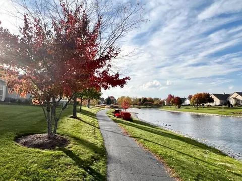 14 Twickenham Ct, Algonquin, IL 60102 photo 31