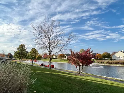 14 Twickenham Ct, Algonquin, IL 60102 photo 29
