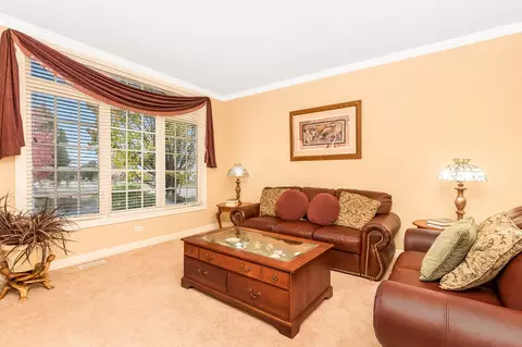 12858 Skyline Dr, Plainfield, IL 60585 photo 4