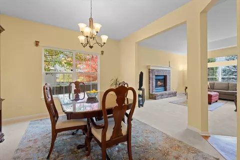 26808 Ashgate Xing, Plainfield, IL 60585 photo 14