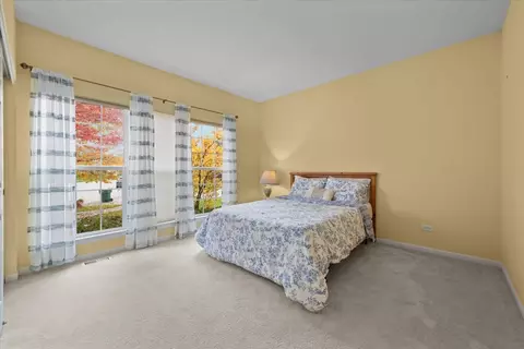 26808 Ashgate Xing, Plainfield, IL 60585 photo 20