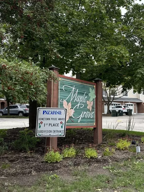 224 E Parallel St, Palatine, IL 60067 photo 27