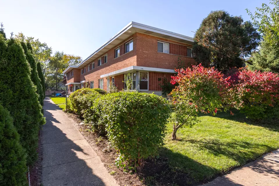  20 N Albert St, Mount Prospect, IL 60056 photo 21