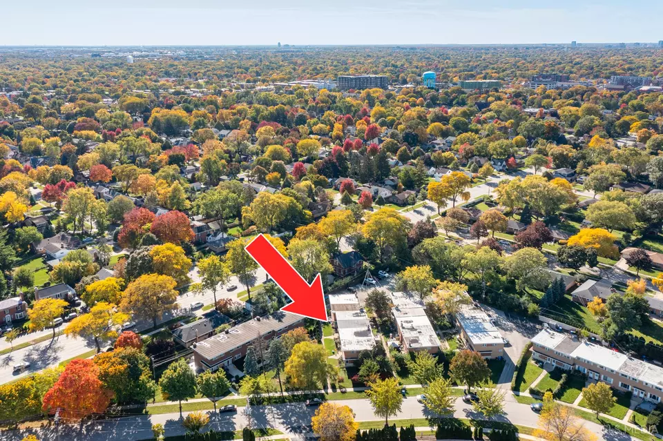  20 N Albert St, Mount Prospect, IL 60056 photo 25