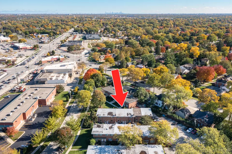  20 N Albert St, Mount Prospect, IL 60056 photo 24