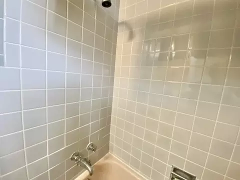 2700 N Mango Ave, Chicago, IL 60639 photo 14