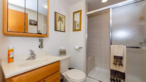 940 Gannon Dr, Hoffman Estates, IL 60169 photo 20