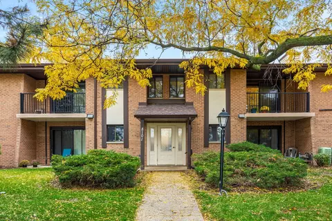 8101 Piers Dr #1807, Woodridge, IL 60517