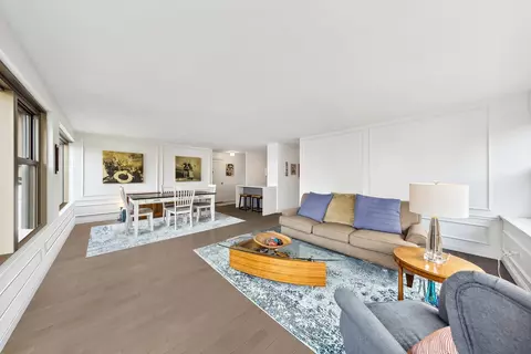 247 E Chestnut St #1802, Chicago, IL 60611 photo 4