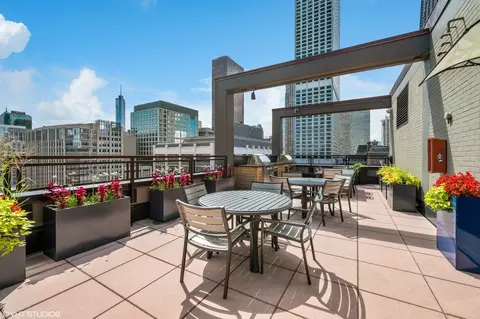247 E Chestnut St #1802, Chicago, IL 60611 photo 15