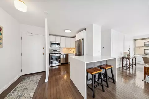 247 E Chestnut St #1802, Chicago, IL 60611 photo 8