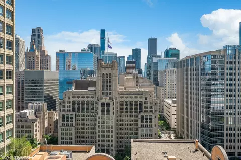 247 E Chestnut St #1802, Chicago, IL 60611 photo 19