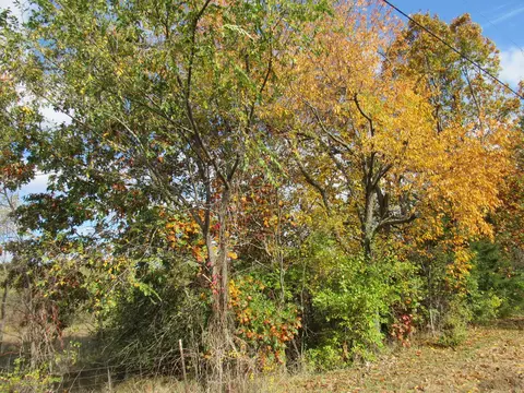 0000 W Smiley Rd, Braidwood, IL 60408
