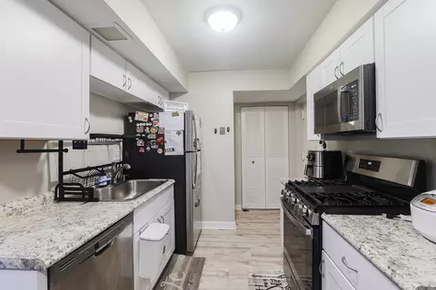 1205 Thyne Ct #1205, Wheeling, IL 60090 photo 5