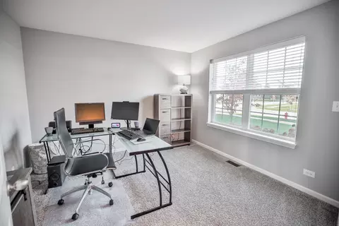 13514 Arborview Cir, Plainfield, IL 60585 photo 13