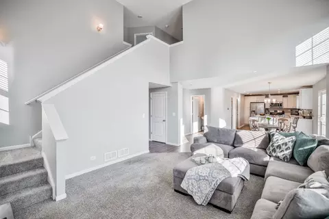 13514 Arborview Cir, Plainfield, IL 60585 photo 10