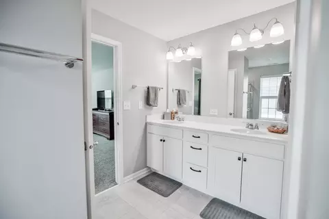 13514 Arborview Cir, Plainfield, IL 60585 photo 23
