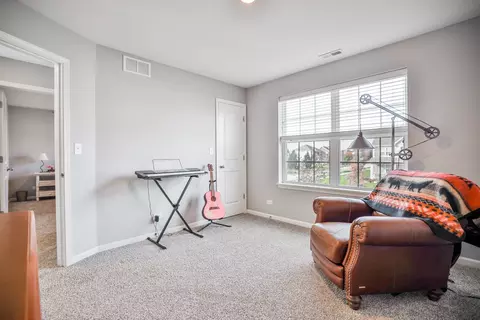 13514 Arborview Cir, Plainfield, IL 60585 photo 28
