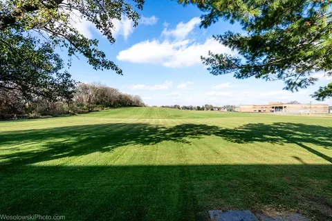 1950 Cosman Way, Algonquin, IL 60102 photo 61
