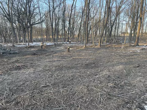 24 Cedar Ln, Putnam, IL 61560 photo 5