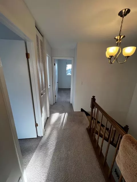 491 S Navajo Trl, Wheeling, IL 60090 photo 18