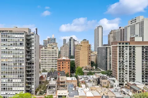 40 E Cedar St #19A, Chicago, IL 60611 photo 20