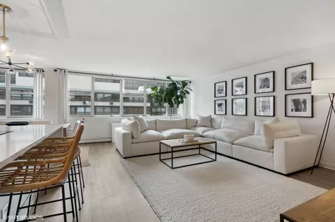 40 E Cedar St #19A, Chicago, IL 60611 photo 5