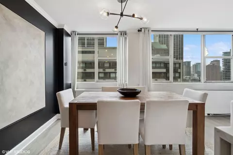 40 E Cedar St #19A, Chicago, IL 60611 photo 12