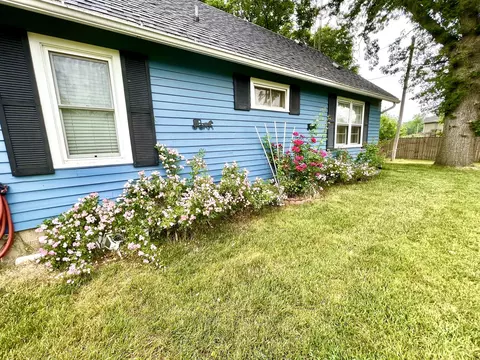 305 W Grant St, Lostant, IL 61334 photo 3