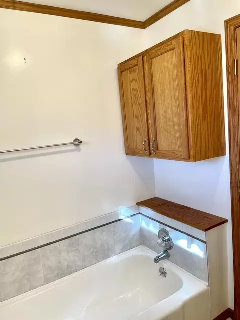 305 W Grant St, Lostant, IL 61334 photo 19