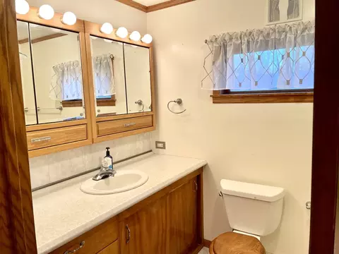 305 W Grant St, Lostant, IL 61334 photo 18