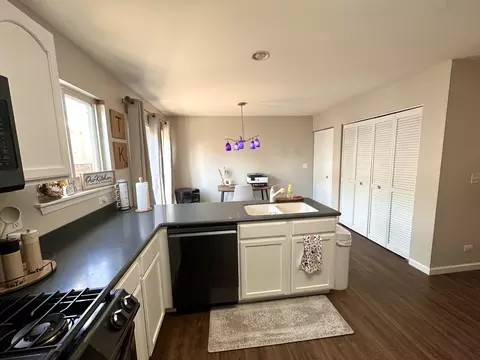 14522 Samuel Adams Dr, Plainfield, IL 60544 photo 8