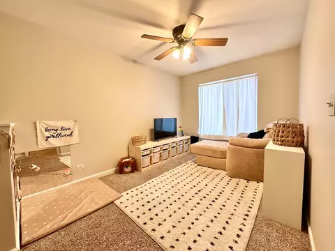 14522 Samuel Adams Dr, Plainfield, IL 60544 photo 10