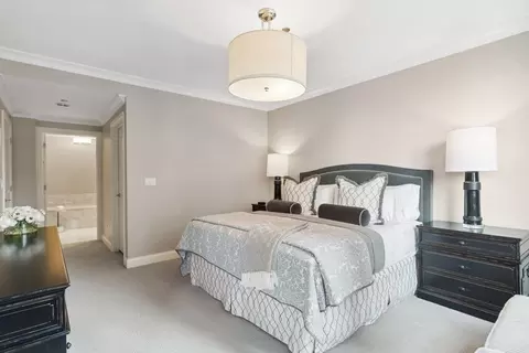 10 E Delaware Pl #21D, Chicago, IL 60611 photo 16