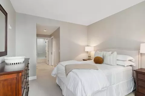 10 E Delaware Pl #21D, Chicago, IL 60611 photo 25