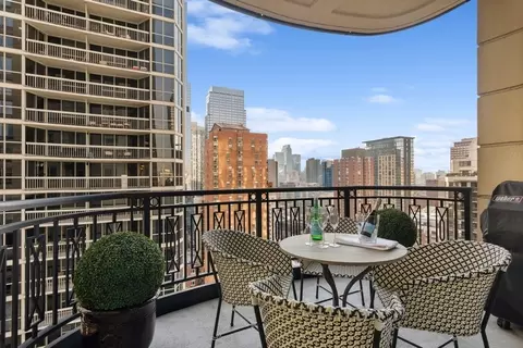 10 E Delaware Pl #21D, Chicago, IL 60611 photo 9