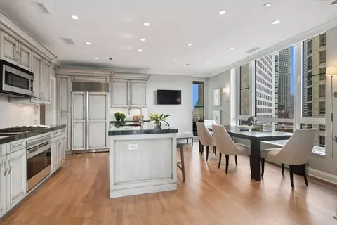 10 E Delaware Pl #21D, Chicago, IL 60611 photo 13