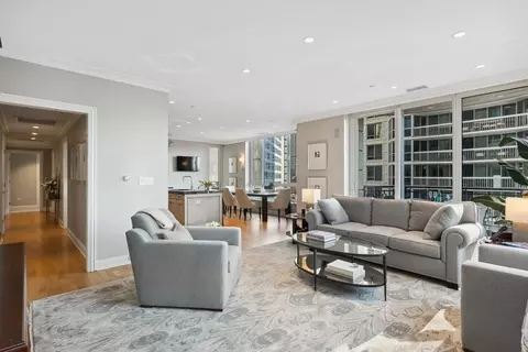 10 E Delaware Pl #21D, Chicago, IL 60611 photo 5
