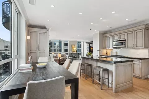 10 E Delaware Pl #21D, Chicago, IL 60611 photo 12