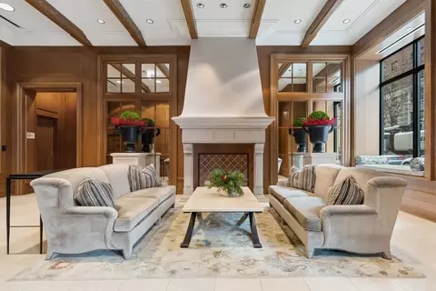 10 E Delaware Pl #21D, Chicago, IL 60611 photo 3