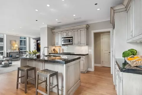 10 E Delaware Pl #21D, Chicago, IL 60611 photo 11