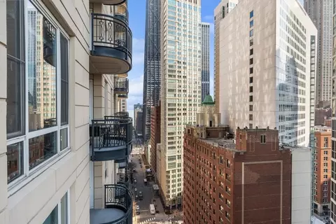 10 E Delaware Pl #21D, Chicago, IL 60611 photo 29