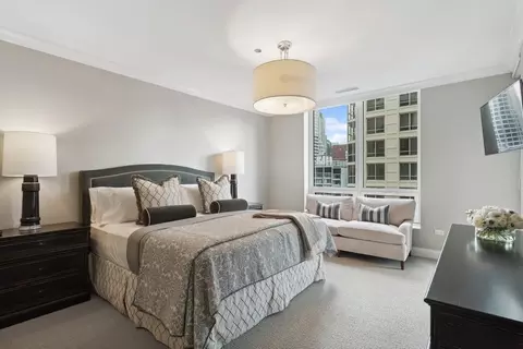 10 E Delaware Pl #21D, Chicago, IL 60611 photo 15